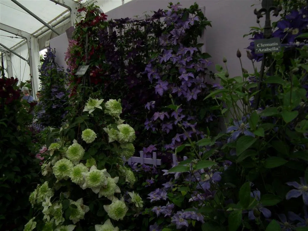 Floral marquee in the long water area 12